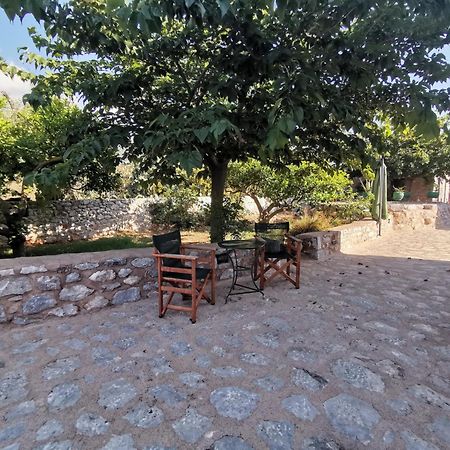 Guesthouse Toxotis Pírgos Dhiroú Extérieur photo