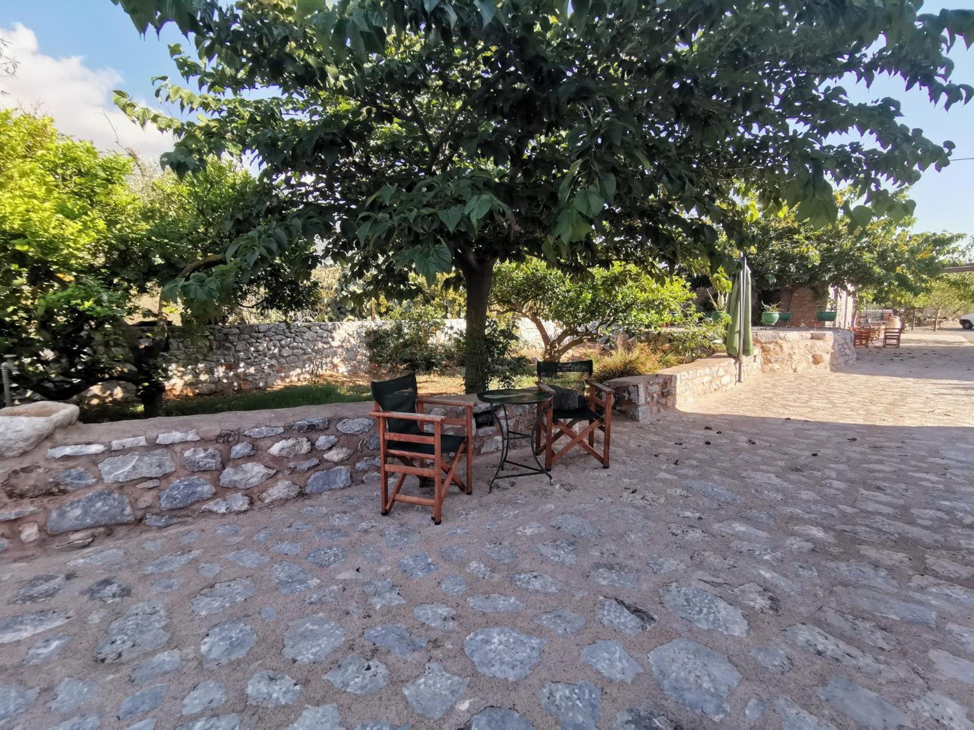 Guesthouse Toxotis Pírgos Dhiroú Extérieur photo